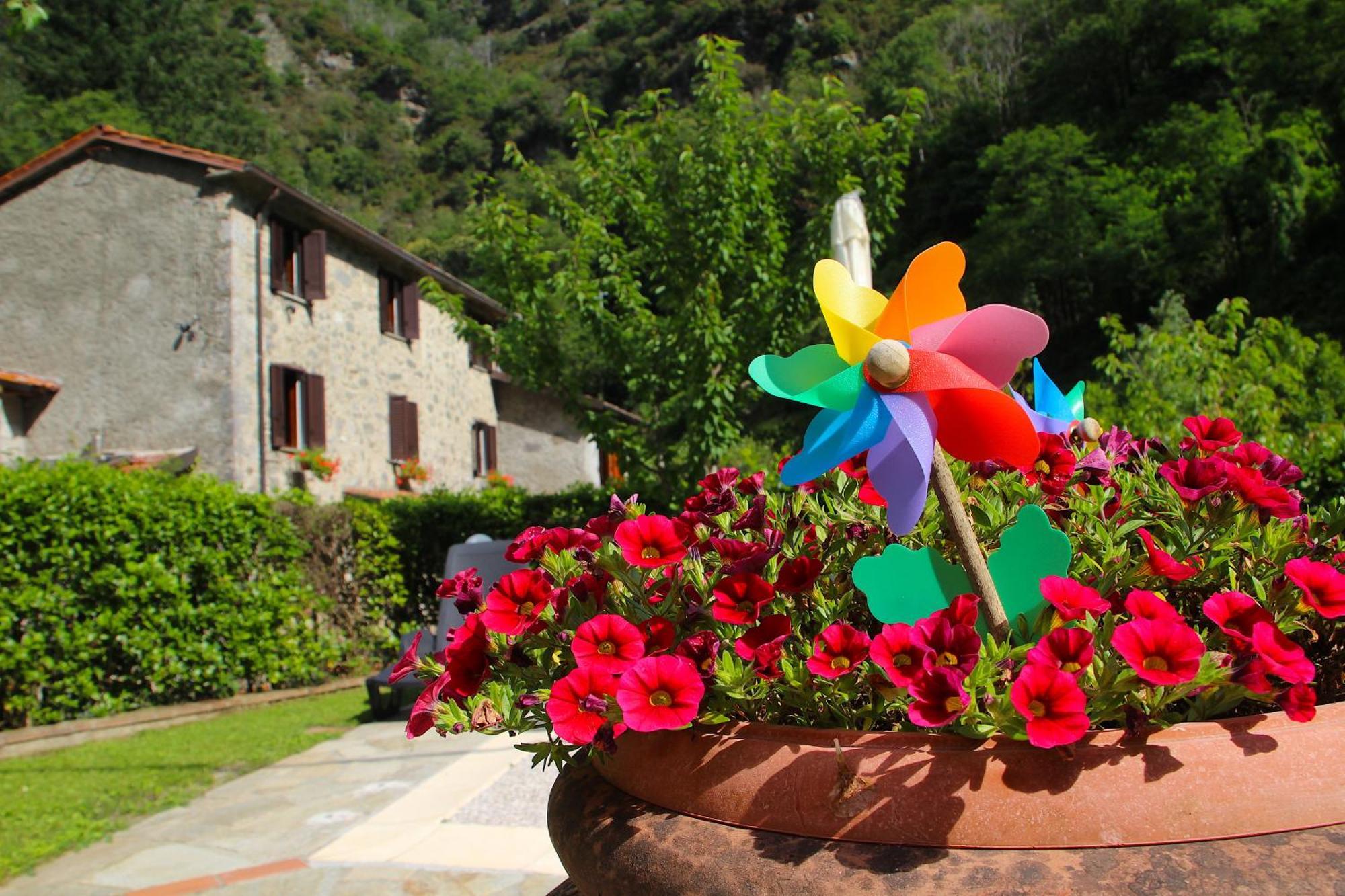 Casa Vacanze Il Boscaccio "Casa Massimo" Fornovolasco 外观 照片