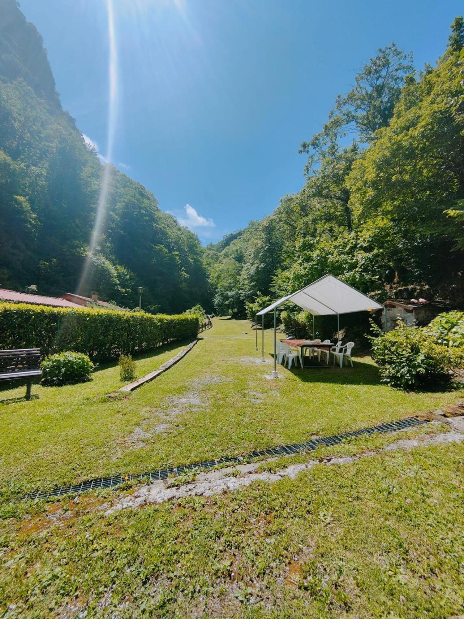 Casa Vacanze Il Boscaccio "Casa Massimo" Fornovolasco 外观 照片
